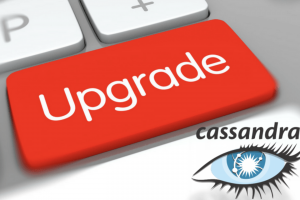 upgrade upgrade